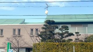 カネマキ医院