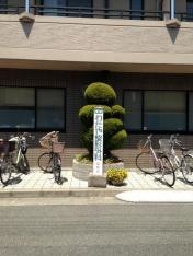 わたや整形外科