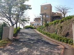 森の木脳神経脊髄外科