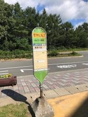 「モヤヒルズ」バス停留所