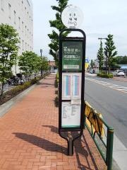 「青梅市役所前」バス停留所