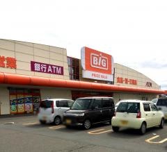 ザ・ビッグ　能代長崎店