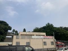 紫恩