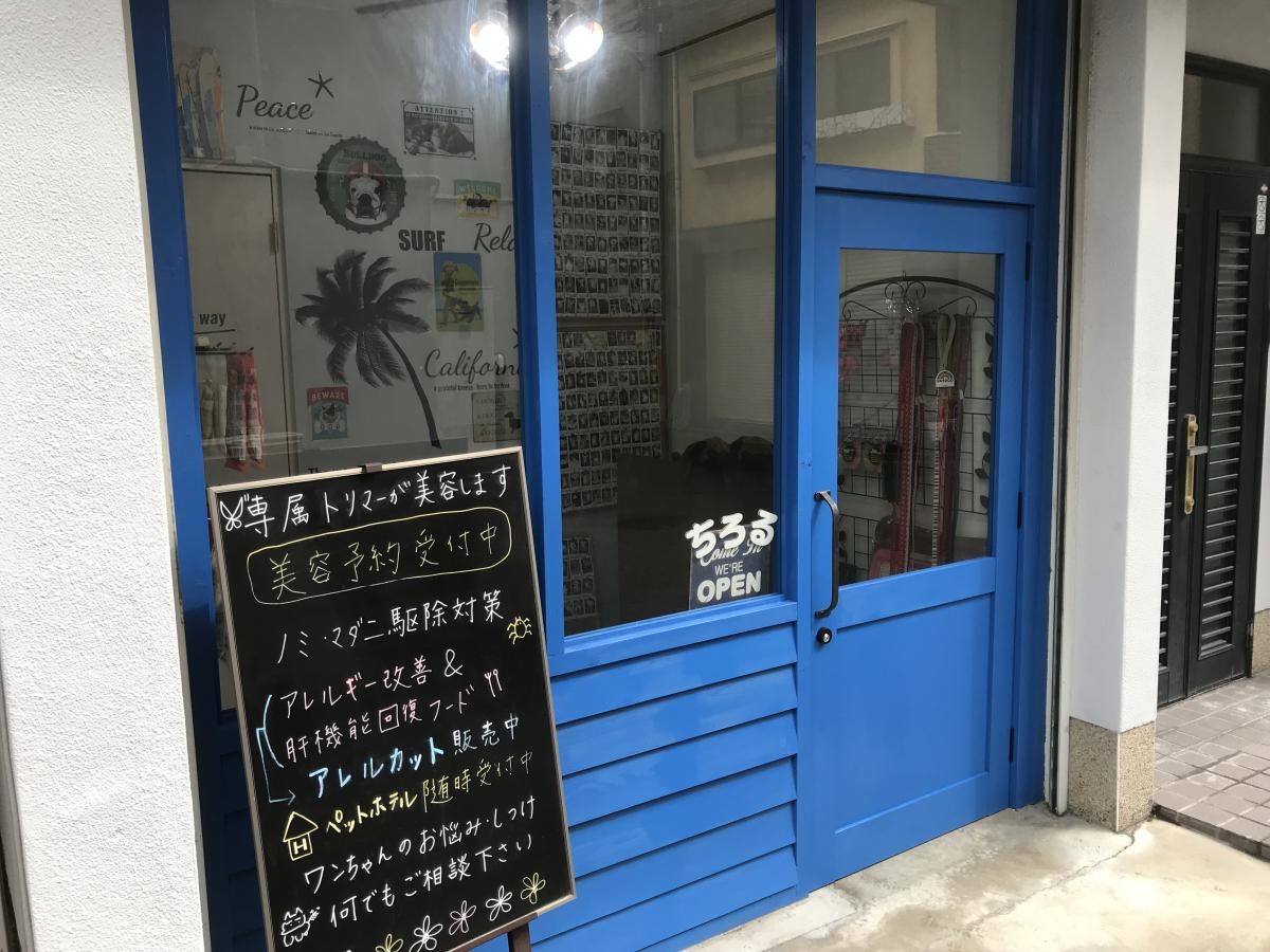 清潔感ある外観です