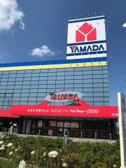 ヤマダ電機　テックランドむつ店
