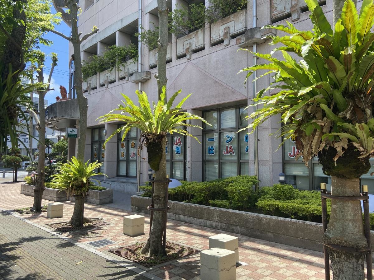 JAおきなわ小禄支店