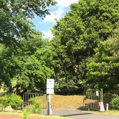 森林公園ゴルフ練習場