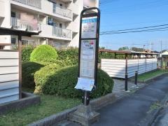 「泉町住宅」バス停留所