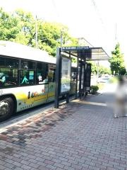 「府立医大病院前」バス停留所