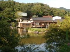 山水