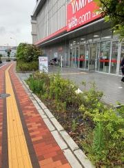 ヤマダ電機　ＹＡＭＡＤＡｗｅｂ.ｃｏｍ江東新砂店