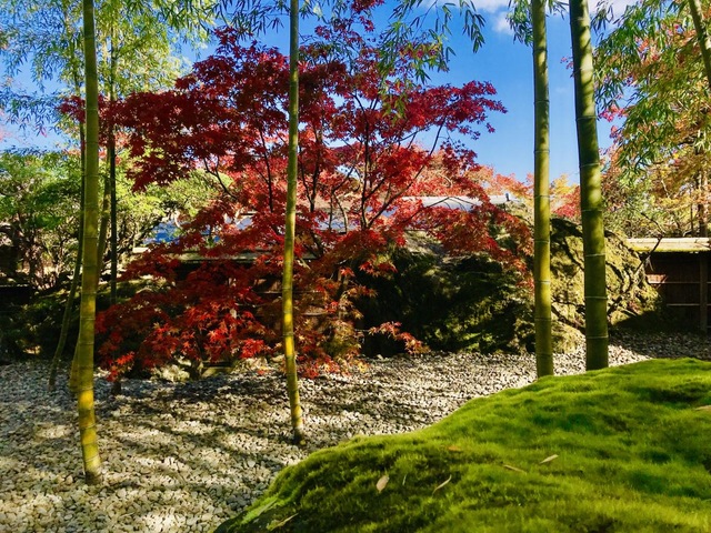 施設写真43