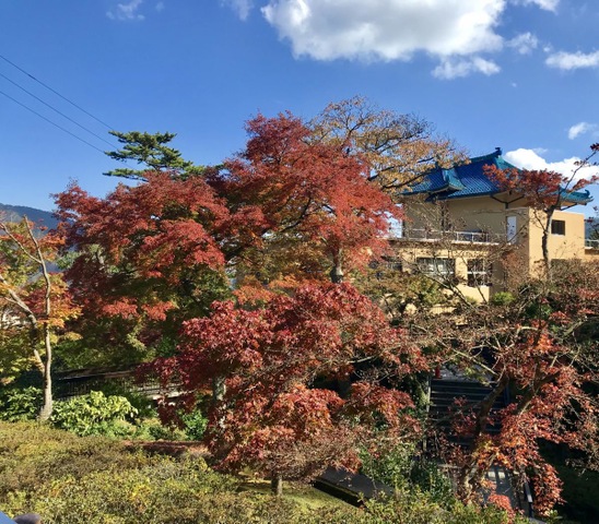 施設写真42