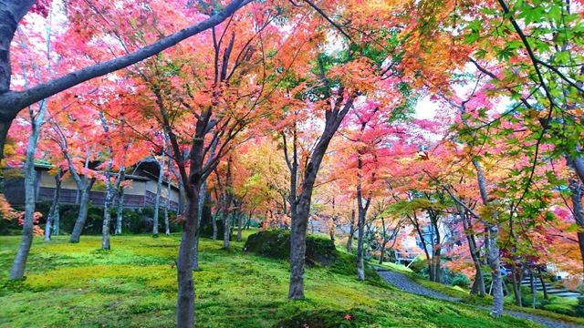 施設写真25