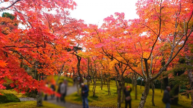 施設写真22