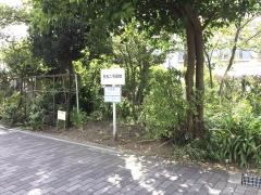 赤松二号緑地