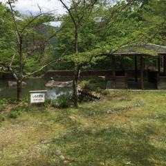 下呂湯けむりの森