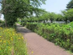 扇川緑道