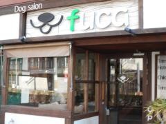 ｆｕｃａ