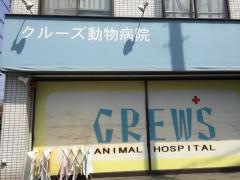 クルーズ動物病院