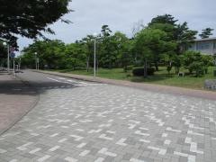 新潟大学大学院
