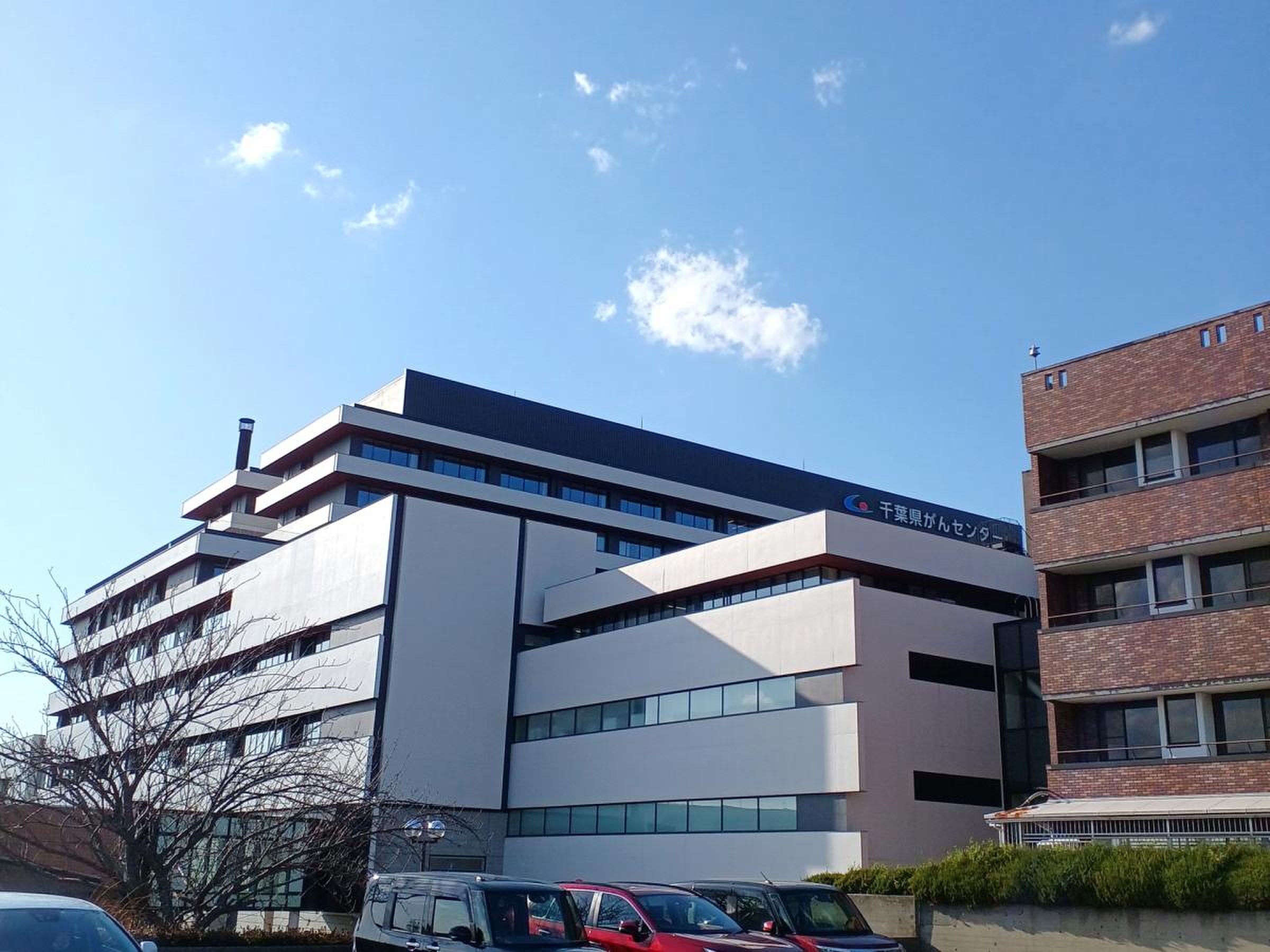 千葉 県 が ん センター