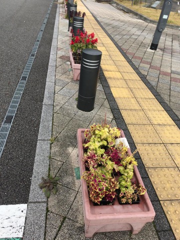 施設写真221