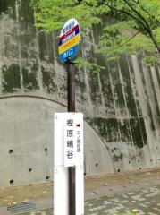 「樫原鴫谷」バス停留所