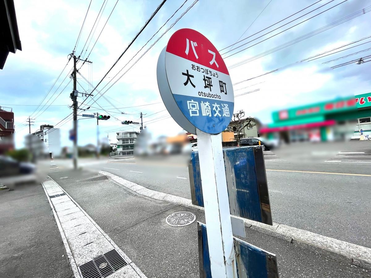 全体
