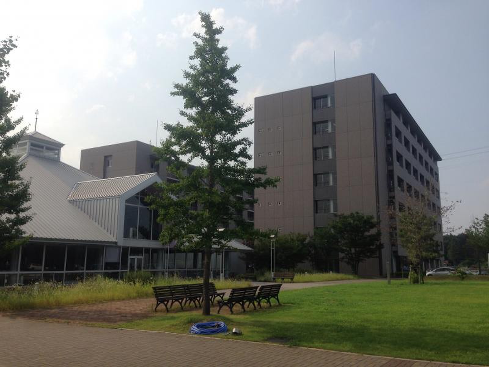 公の場での発言・インタビュー報道記録