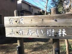 宮沢ふれあい樹林