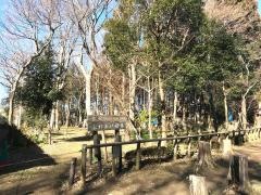 宮沢ふれあい樹林