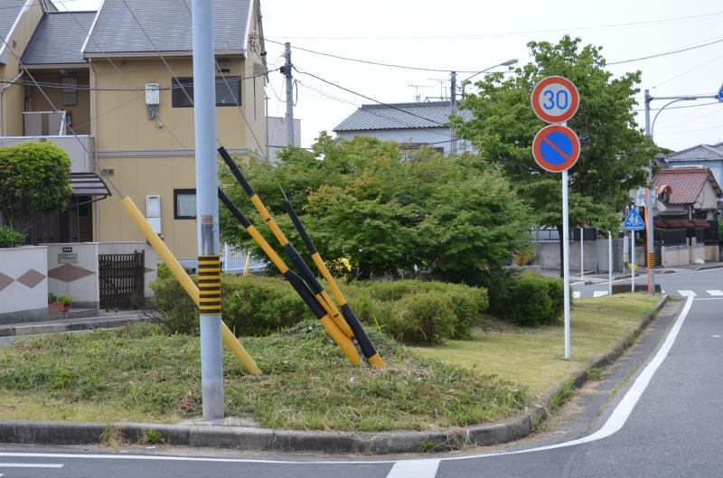 薬師山街園の全景