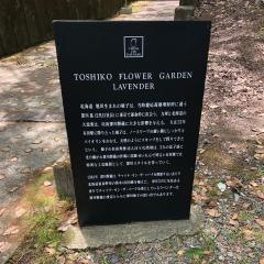 チャイナ・オン・ザ・パーク