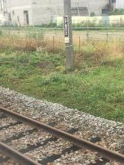 東旭川駅