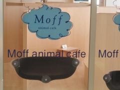 モフアニマルカフェ