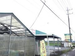 観光農園「アグリの郷」