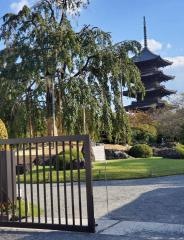 東寺（教王護国寺）