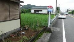 「野島公民館前」バス停留所