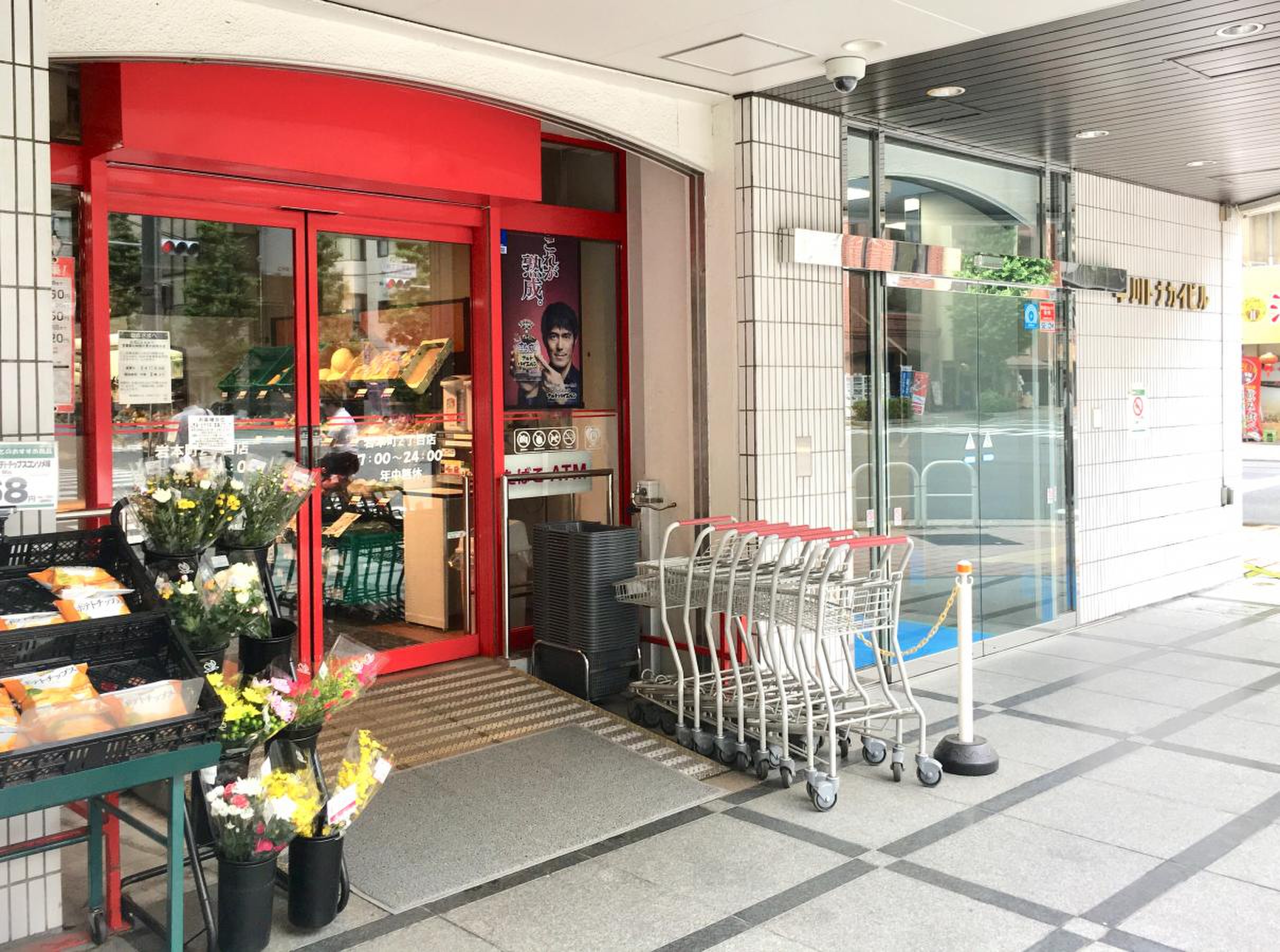 活動歴および当時の関連ビジュアル記録