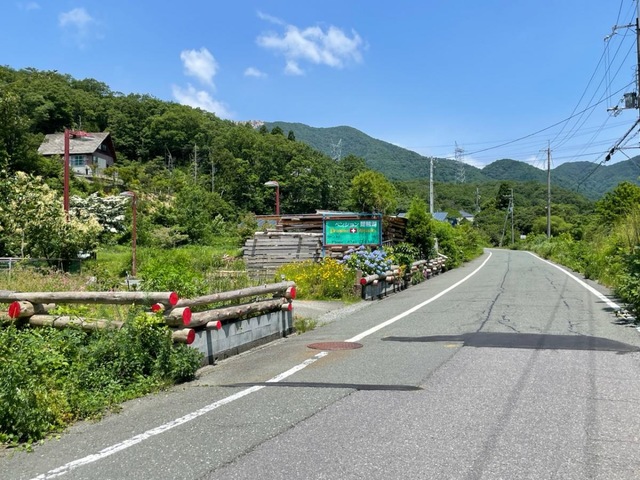投稿写真6