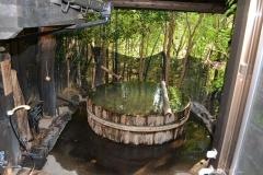 黒川温泉　いやしの里　樹やしき