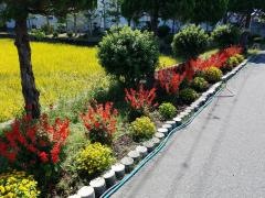 山形市立第九中学校