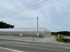 和田観光いちご園