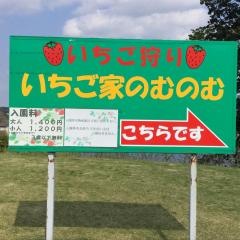 いちご家のむのむ