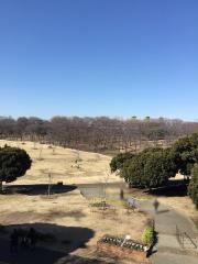 根岸森林公園