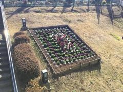 根岸森林公園