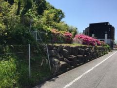 第8号高根山緑地
