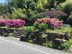 第8号高根山緑地