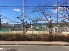 長岡京市立長岡中学校